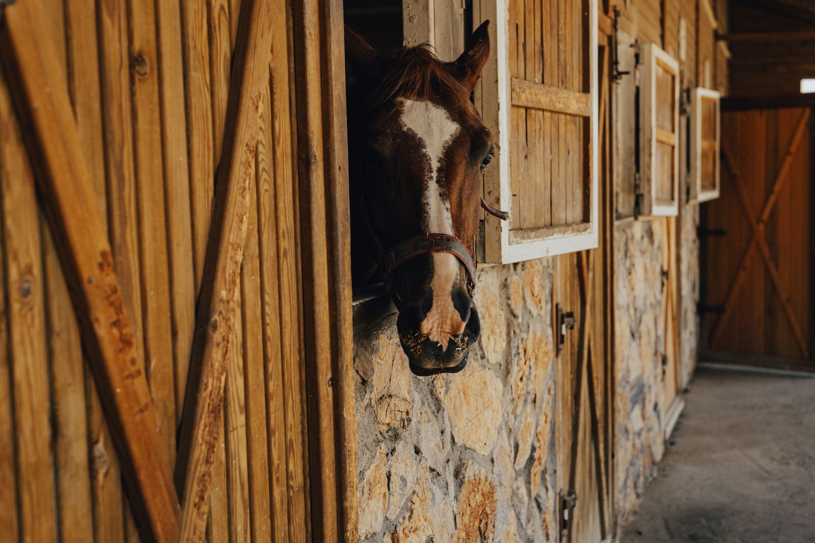 55 kW on a Riding-School Indoor Arena — Daytime Lessons, Daytime Sun