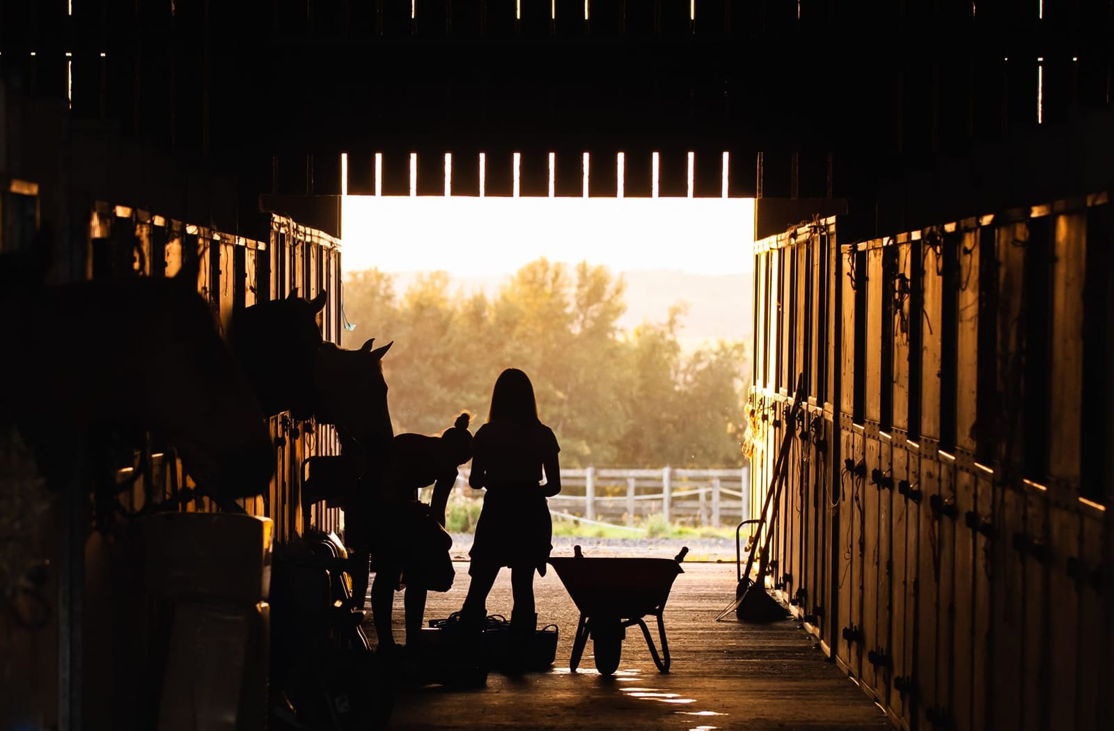 Private Stables & Equestrian Homes