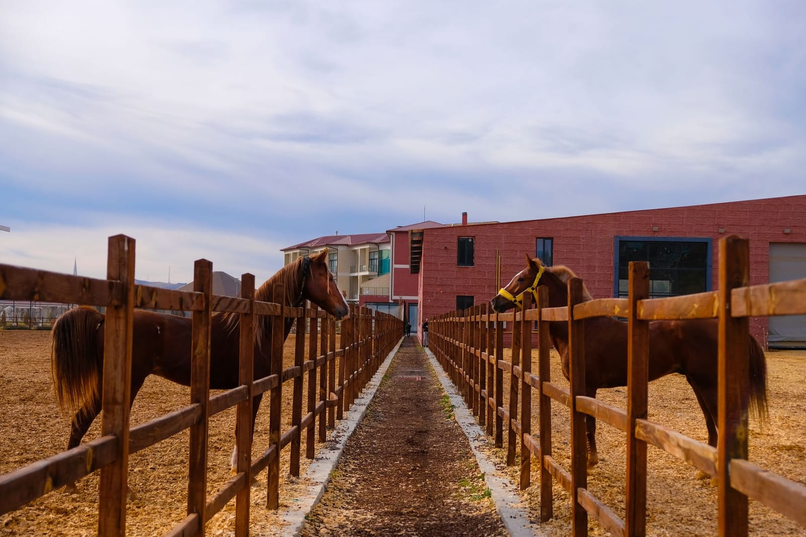 Off-Grid Field Shelters & Remote Stables
